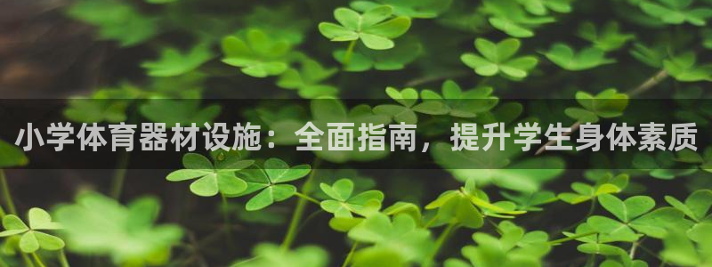 富联平台布7O777：小学体育器材设施：全面指南，提