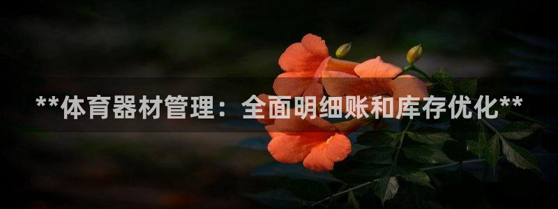 富联娱乐平台开户流程图：**体育器材管理：全面明细账