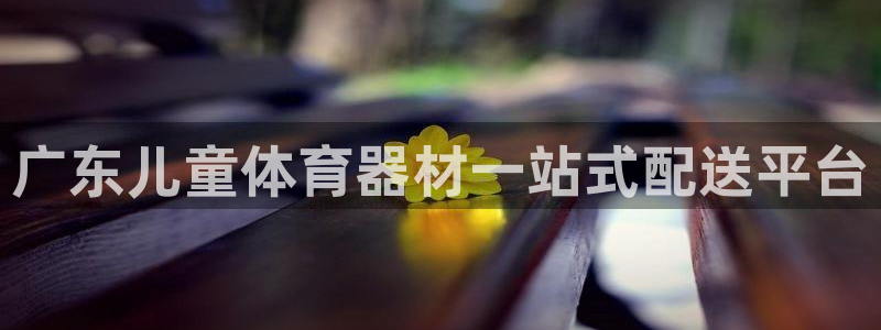 富联集团董事长：广东儿童体育器材一站式配送平台