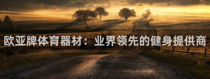 富联官方网站下载：欧亚牌体育器材：业界领先的健身提供