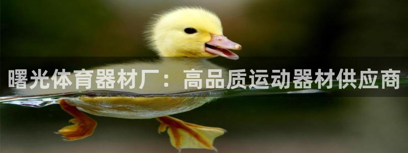 富联娱乐玩法机制：曙光体育器材厂：高品质运动器材供应