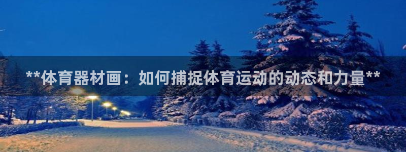 富联娱乐是资金盘吗：**体育器材画：如何捕捉体育运动