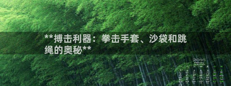 富联平台注册登录不了：**搏击利器：拳击手套、沙袋和