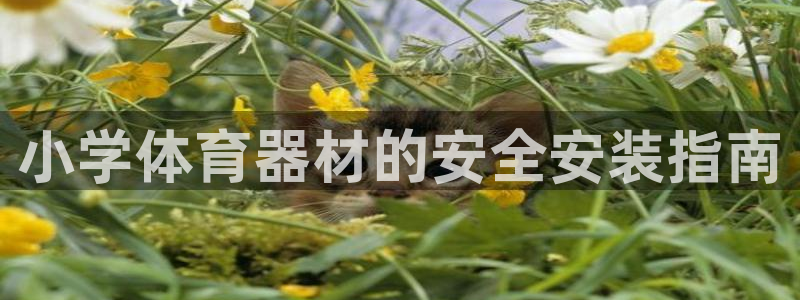 富联平台娱乐：小学体育器材的安全安装指南