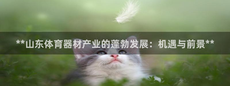 富联是什么平台：**山东体育器材产业的蓬勃发展：机遇