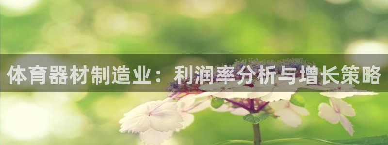 富联平台登入：体育器材制造业：利润率分析与增长策略