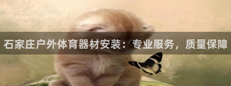 富联平台注册登录不了：石家庄户外体育器材安装：专业服