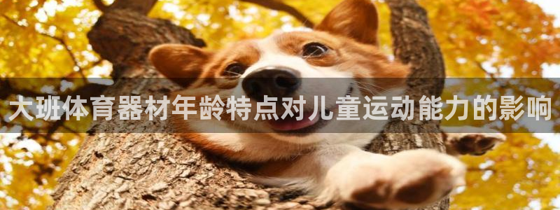 富联娱乐在线注册链接怎么弄：大班体育器材年龄特点对儿