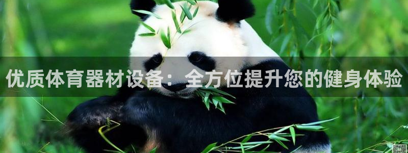 富联娱乐平台怎么样知乎：优质体育器材设备：全方位提升