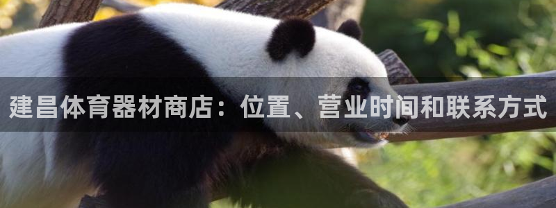富联申购中签什么时候知道：建昌体育器材商店：位置、营