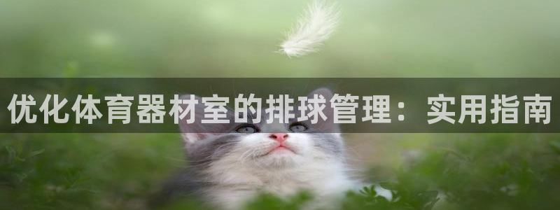 富联娱乐凡六七五一38：优化体育器材室的排球管理：实