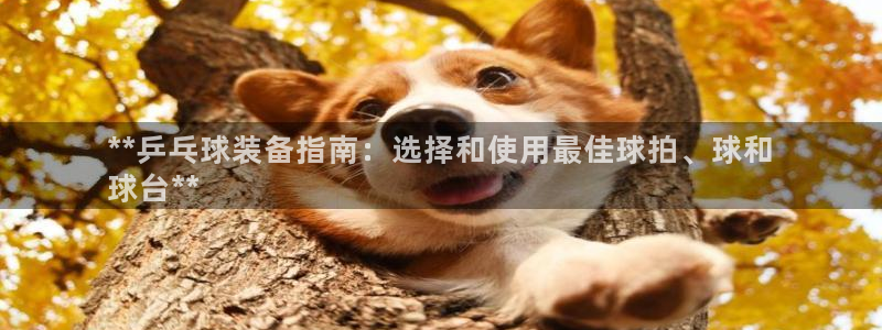 富联平台赢钱不给退怎么办呢：**乒乓球装备指南：选择