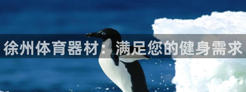 富联平台登录注册账号：徐州体育器材：满足您的健身需求