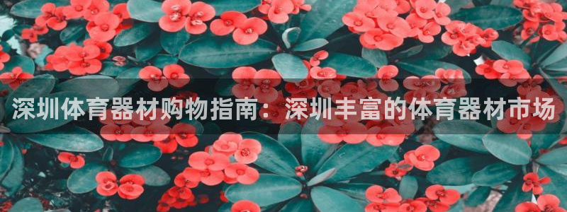 富联平台网站登录入口：深圳体育器材购物指南：深圳丰富