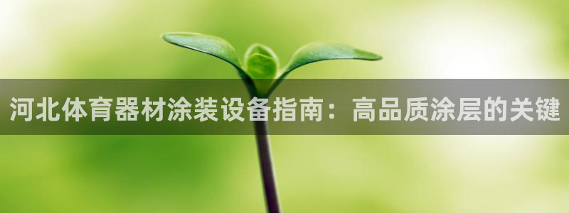 富联平台官网登录网址：河北体育器材涂装设备指南：高品