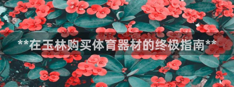 富联平台登录注册：**在玉林购买体育器材的终极指南*