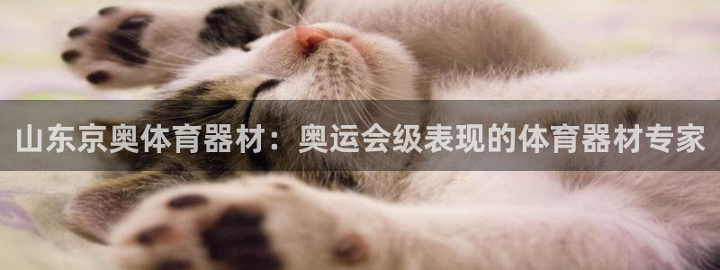 富联娱乐访问：山东京奥体育器材：奥运会级表现的体育器