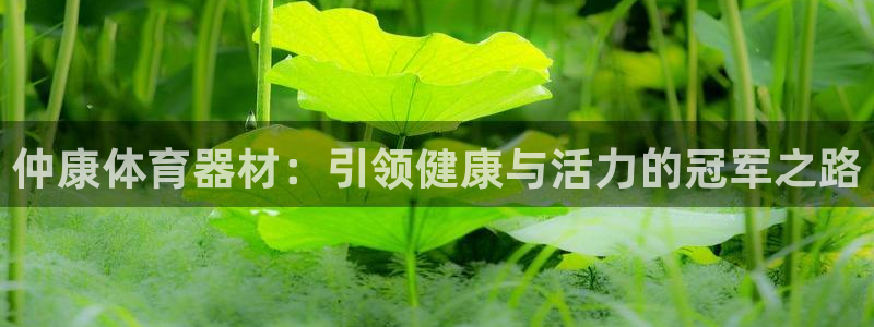 富联地产怎么样可靠吗：仲康体育器材：引领健康与活力的