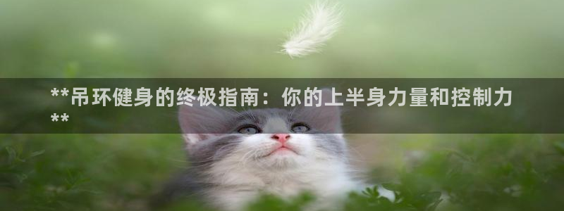 富联平台派7O777：**吊环健身的终极指南：你的上