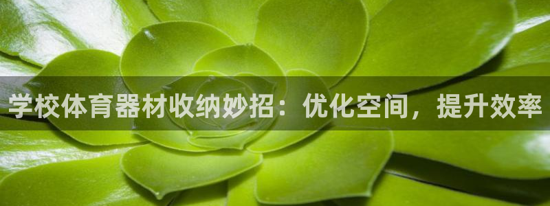 富联娱乐平台怎么样知乎：学校体育器材收纳妙招：优化空