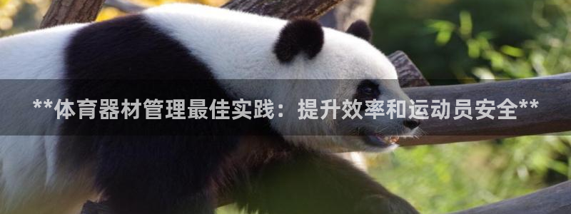 富联平台官网登录不了：**体育器材管理最佳实践：提升