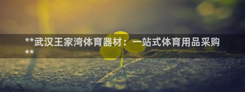 富联平台注册登录入口：**武汉王家湾体育器材：一站式