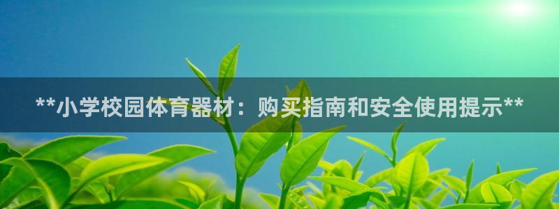 富联平台官网登录网址：**小学校园体育器材：购买指南
