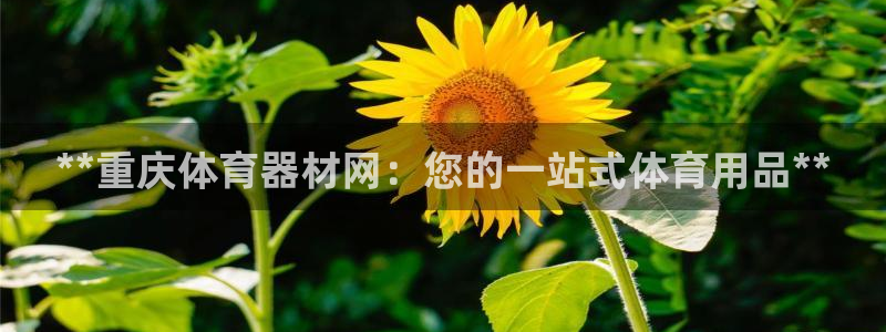 富联娱乐口 411O31 娱乐