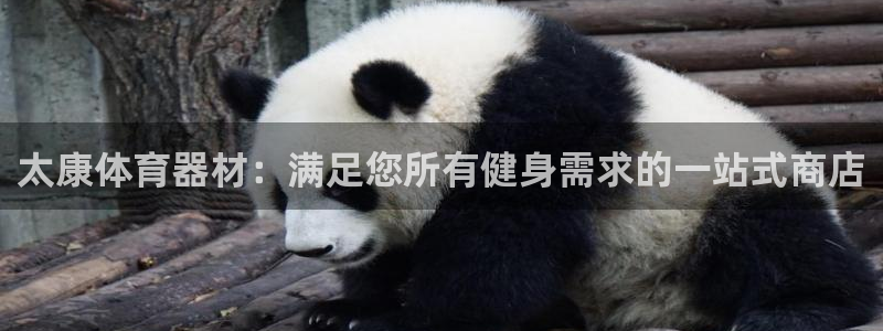 富联娱乐服务站电话：太康体育器材：满足您所有健身需求