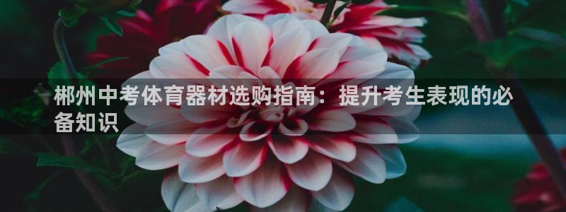 富联官方网站下载安装：郴州中考体育器材选购指南：提升