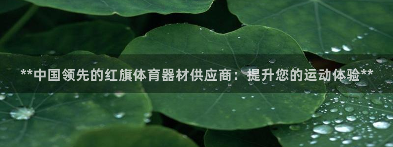 富联娱乐测速：**中国领先的红旗体育器材供应商：提升