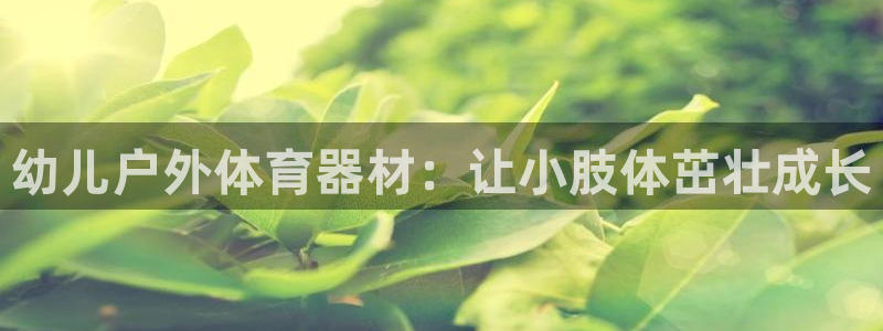 富联平台网站官网：幼儿户外体育器材：让小肢体茁壮成长