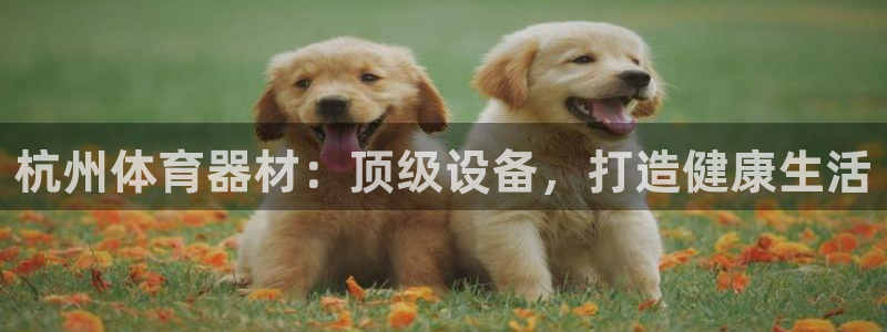 富联是什么软件：杭州体育器材：顶级设备，打造健康生活