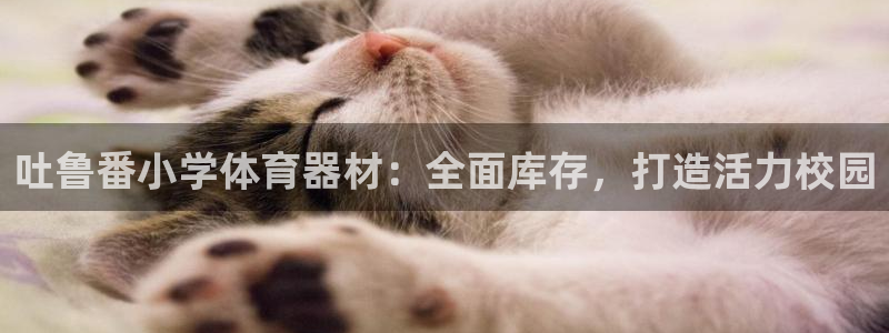 富联娱乐服务站电话：吐鲁番小学体育器材：全面库存，打