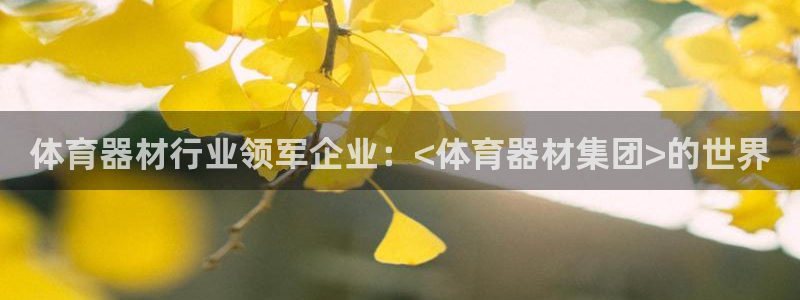 富联娱乐官方网站：体育器材行业领军企业：<体育器材集