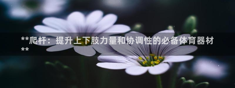 富联娱乐会员账号注销：**爬杆：提升上下肢力量和协调