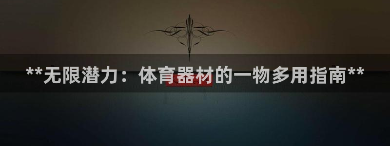 富联娱乐平台是什么平台：**无限潜力：体育器材的一物