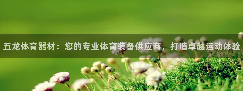 香港富联集团：五龙体育器材：您的专业体育装备供应商，