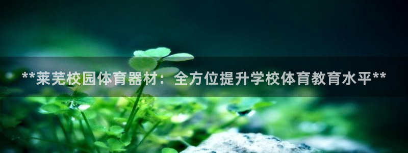 富联娱乐会员账号注销：**莱芜校园体育器材：全方位提
