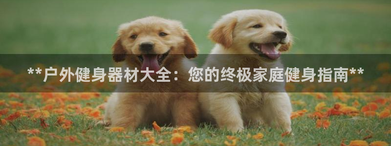富联娱乐老板是哪里人：**户外健身器材大全：您的终极