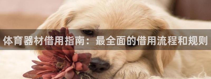 富联平台登录网址：体育器材借用指南：最全面的借用流程