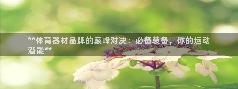 富联娱乐平台开户流程及时间：**体育器材品牌的巅峰对