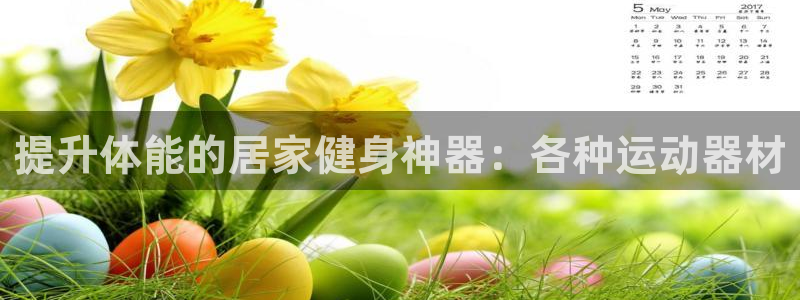 富联官网登录入口网址：提升体能的居家健身神器：各种运