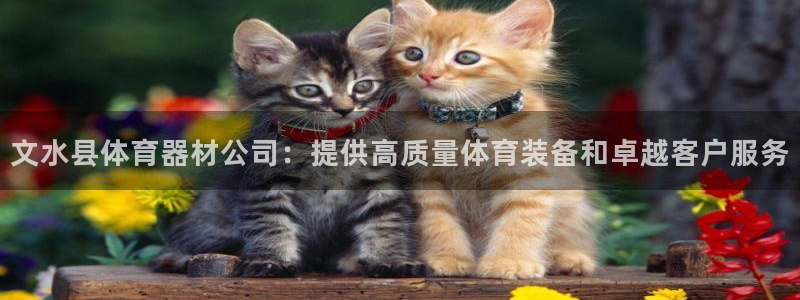 富联娱乐客户端app下载服务器失败怎么办：文水县体育