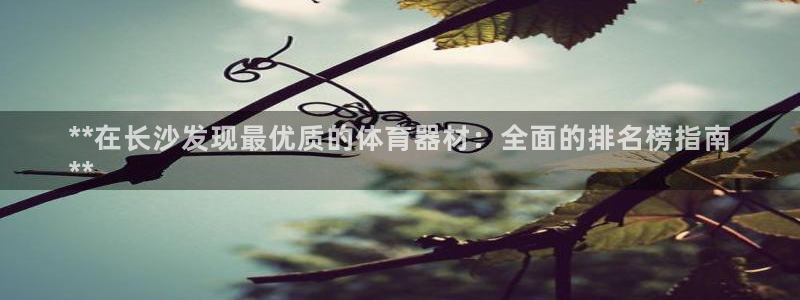 富联官网登陆网址：**在长沙发现最优质的体育器材：全