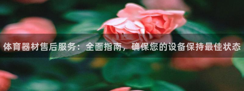富联娱乐平台开户：体育器材售后服务：全面指南，确保您