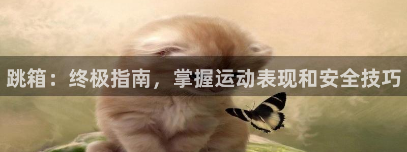 富联娱乐是什么时候开的店：跳箱：终极指南，掌握运动表