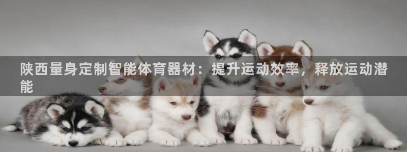 富联智能科技学院：陕西量身定制智能体育器材：提升运动