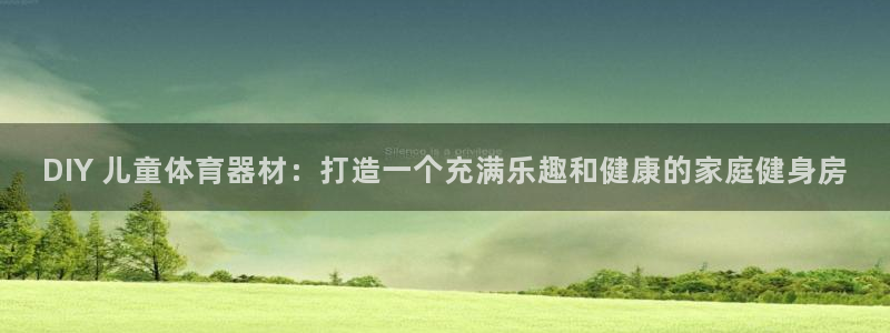 富联平台商 5O6917 平台：DIY 儿童体育器材