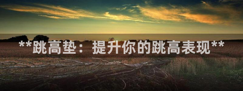 富联平台赢钱不给退怎么办呢：**跳高垫：提升你的跳高